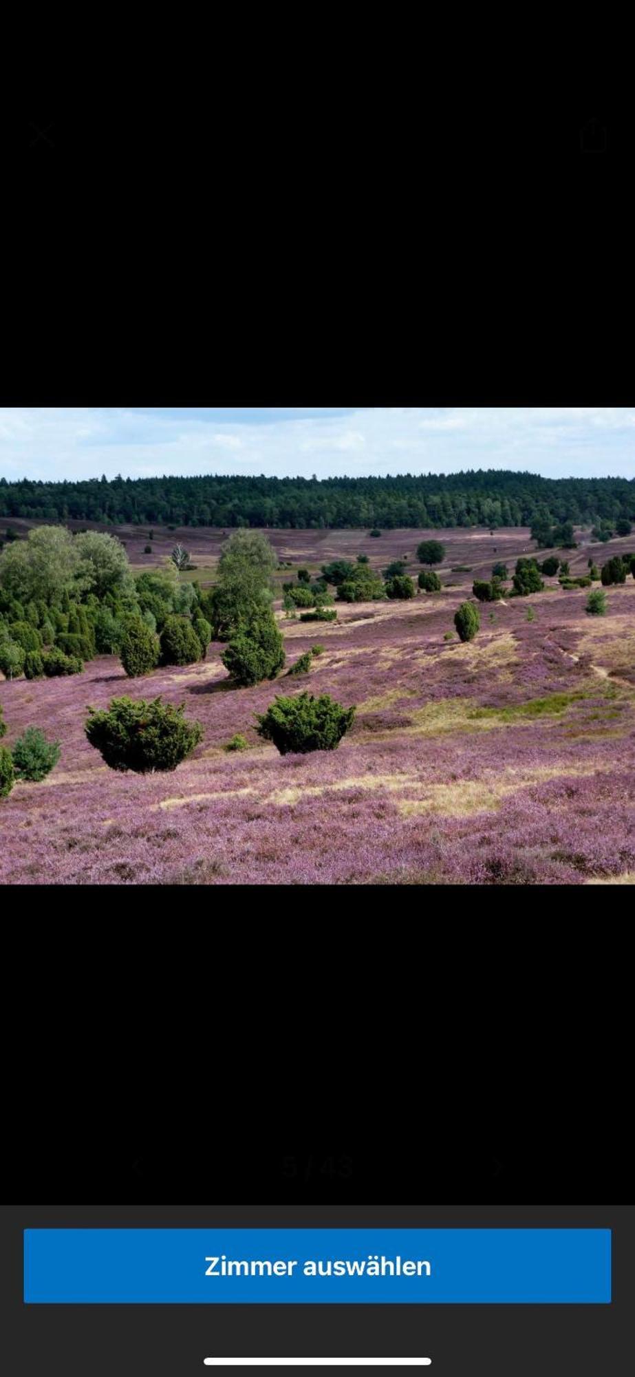 Landhotel Vessens Hoff Buchholz in der Nordheide Dış mekan fotoğraf